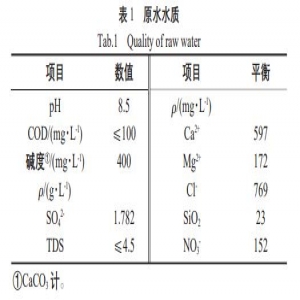膜集成技术在高盐废水资源化中的应用