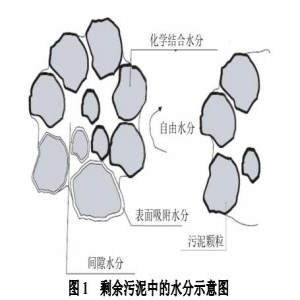 污泥脱水技术工艺