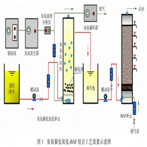 抗生素制药废水处理臭氧催化氧化-BAF组合工艺