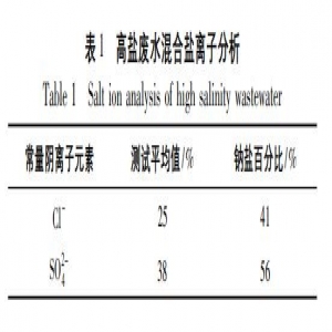 工业高盐废水高效分离与回收技术