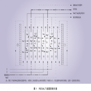 燃煤电厂脱硫废水浓缩处理RESALT技术